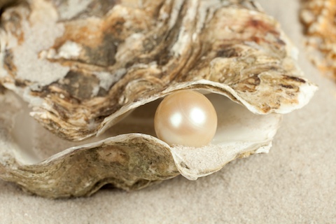 Open Oyster Shell With Pearl